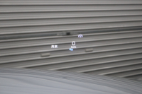 メルセデスベンツ Eクラス E300 AVG ｽﾎﾟｰﾂ ﾚｰﾀﾞｰｾｰﾌﾃｨPKG　中期 NEWｽﾃｱﾘﾝｸﾞ ｷｰﾚｽｺﾞｰ 黒本革 ﾍｯﾄﾞｱｯﾌﾟD HDDﾅﾋﾞTV ｽﾏﾎ連携 360ｶﾒﾗ PTS LEDﾗｲﾄ 自動ﾄﾗﾝｸ ﾊﾝｽﾞﾌﾘｰA AMGｴｱﾛ&19AW ﾀﾞｲﾅﾐｯｸS 9AT　2年保証