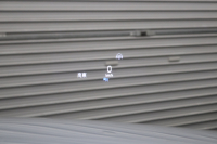 メルセデスベンツ CLS CLS450 4MATIC ｽﾎﾟｰﾂ ｴｸｽｸﾙｰｼﾌﾞ&ﾚｰﾀﾞｰｾｰﾌﾃｨPKG　ISG搭載 ｷｰﾚｽｺﾞｰ 赤/黒本革 ﾍﾞﾝﾁﾚｰﾀｰ ｻﾝﾙｰﾌ HDDﾅﾋﾞTV ｽﾏﾎ連携 ﾌﾞﾙﾒｽﾀｰ 360ｶﾒﾗ PTS LEDﾗｲﾄ 自動ﾄﾗﾝｸ ﾊﾝｽﾞﾌﾘｰA AMGｴｱﾛ&19AW ﾜｲﾔﾚｽ充電 ｴｱｻｽ 9AT　2年保証