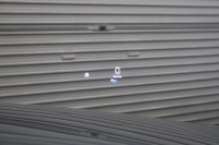 メルセデスベンツ Eクラス E220d AVG AMGﾗｲﾝ ｴｸｽｸﾙｰｼﾌﾞ&ﾚｰﾀﾞｰｾｰﾌﾃｨPKG　中期 MEｺﾈｸﾄ ｷｰﾚｽｺﾞｰ 黒本革 ｼｰﾄﾋｰﾀｰ HUD HDDﾅﾋﾞTV ｽﾏﾎ連携 ﾌﾞﾙﾒｽﾀｰ 360ｶﾒﾗ PTS LEDﾍｯﾄﾞﾗｲﾄ AMGｴｱﾛ&19AW ﾀﾞｲﾅﾐｯｸｾﾚｸﾄ ﾊﾟﾄﾞﾙｼﾌﾄ 9AT　2年保証