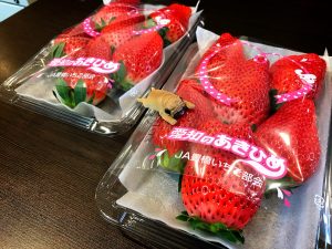 知られざる