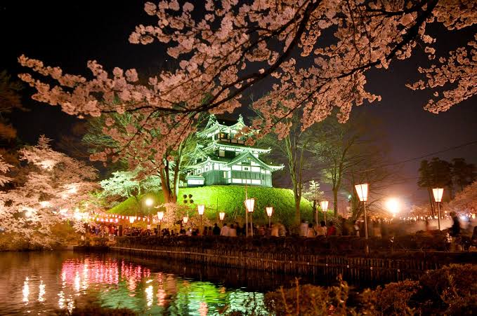 日本三大夜桜