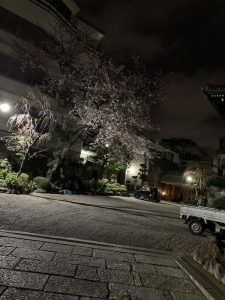 夜桜♪