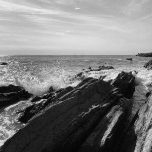 城ヶ島　～無数のフナ虫に囲まれて～　世の中には知らなくていいことがあるものです