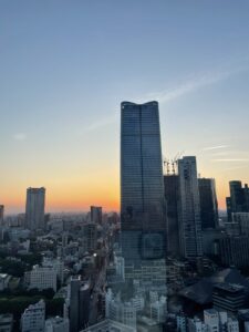お散歩日和