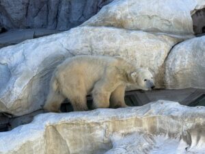 動物園
