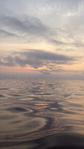 海