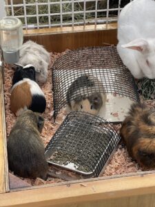 動物園